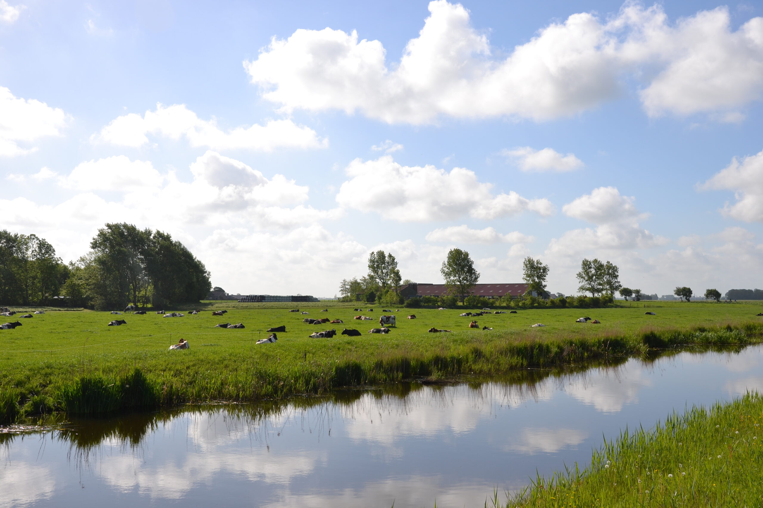 Polderlandschap