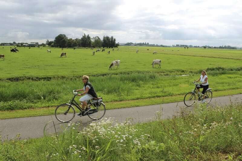 Fietsers