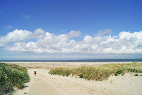 Duinen op Texel