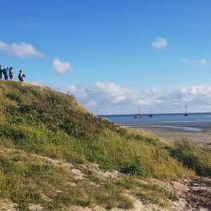 Onderweg op de duinen