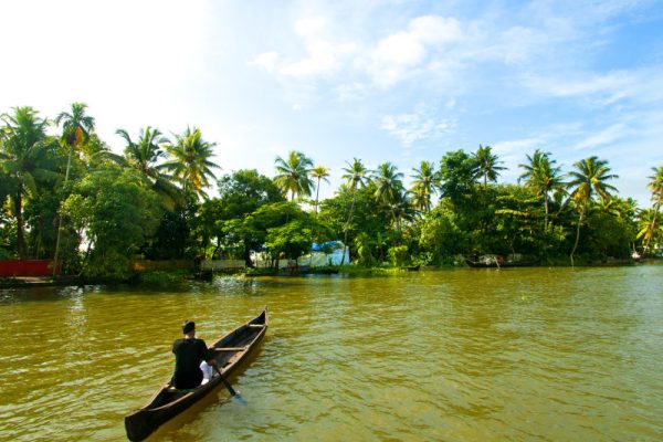 landscape of alleppey backwaters kerala india       utc xjdzy