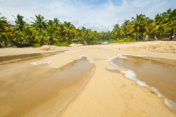 mararikulam sandy beach alappuzha kerala india       utc lpjdi